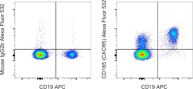 CD185 (CXCR5) Antibody in Flow Cytometry (Flow)