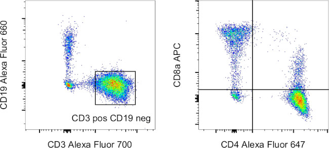 CD19 Antibody in Flow Cytometry (Flow)