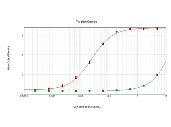 EIF2A Antibody in ELISA (ELISA)