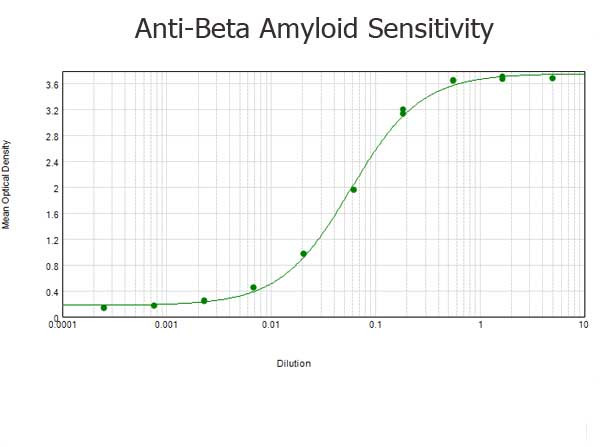 beta Amyloid Antibody in ELISA (ELISA)