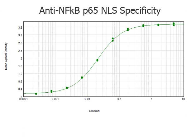 NFkB p65 Antibody in ELISA (ELISA)