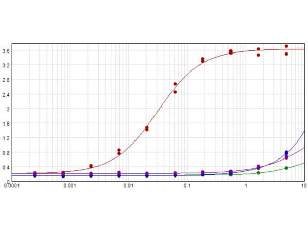 RFP Antibody in ELISA (ELISA)