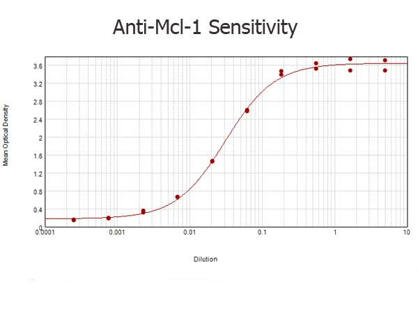 Mcl-1 Antibody in ELISA (ELISA)