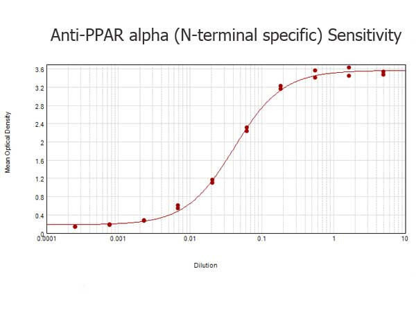 PPAR alpha Antibody in ELISA (ELISA)