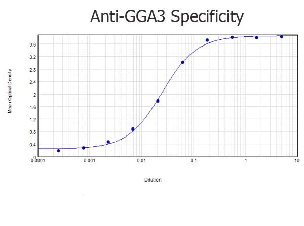 GGA3 Antibody in ELISA (ELISA)