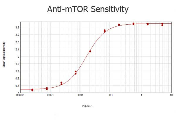 mTOR Antibody in ELISA (ELISA)