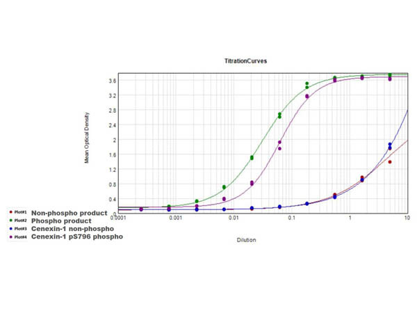 Phospho-Cenexin-1 (Ser796) Antibody in ELISA (ELISA)