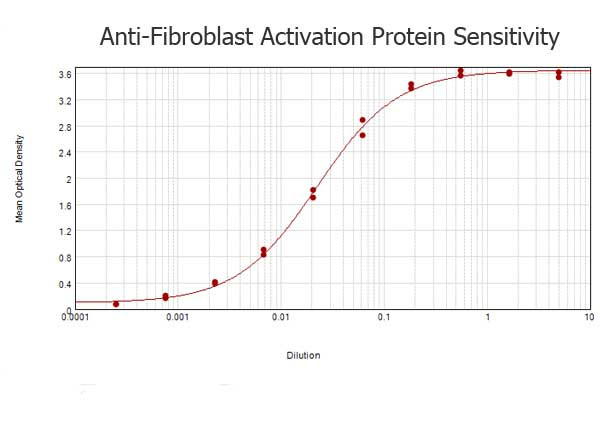 Fibroblast Activation Protein Antibody in ELISA (ELISA)