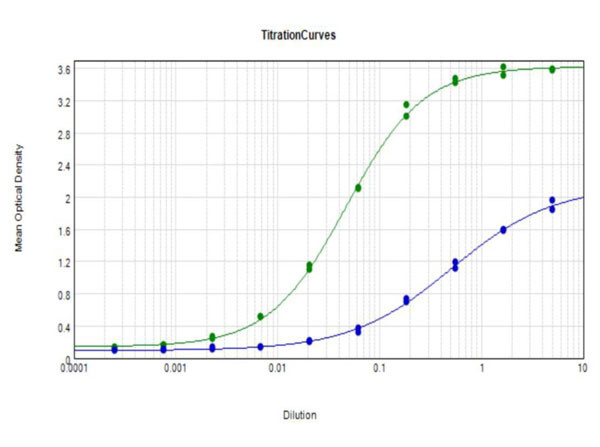 beta Amyloid 42 Antibody in ELISA (ELISA)