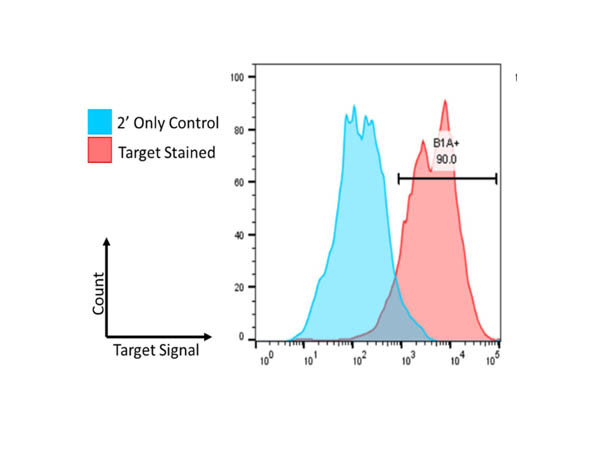 beta 1 Adrenergic Receptor Antibody in Flow Cytometry (Flow)