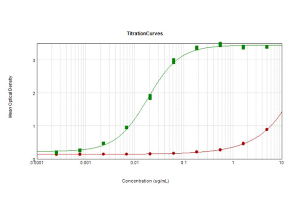 Phospho-Insulin Receptor (Tyr1361) Antibody in ELISA (ELISA)