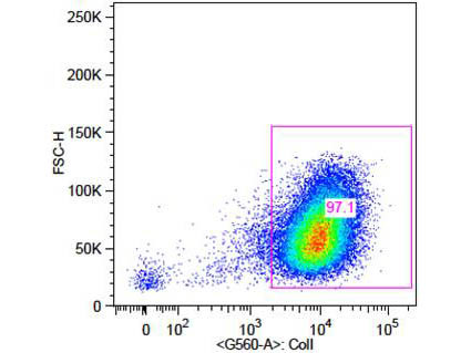 Collagen Type I Antibody in Flow Cytometry (Flow)