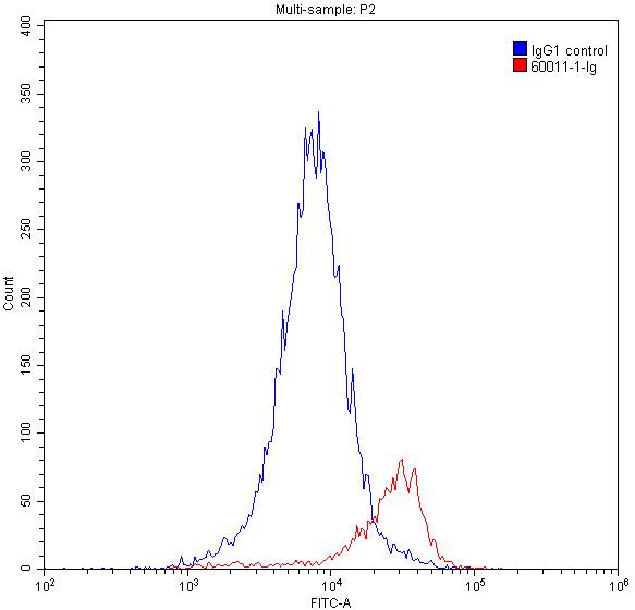 GATA1 Antibody in Flow Cytometry (Flow)