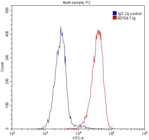 SMN Antibody in Flow Cytometry (Flow)