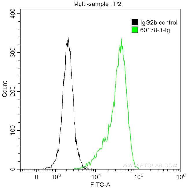 BCL2 Antibody in Flow Cytometry (Flow)