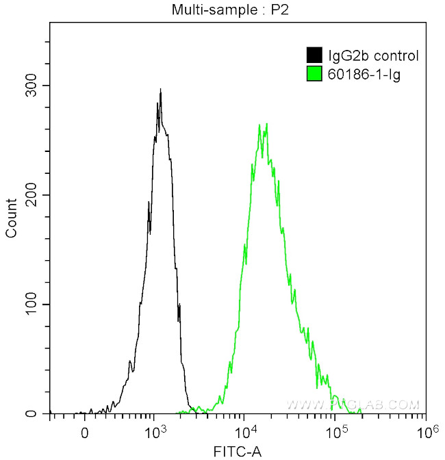 Cyclin D1 Antibody in Flow Cytometry (Flow)