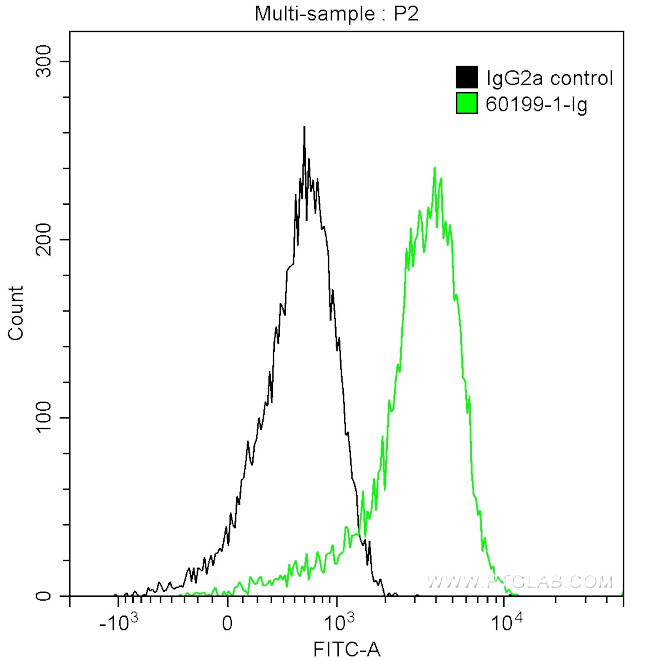 STAT3 Antibody in Flow Cytometry (Flow)