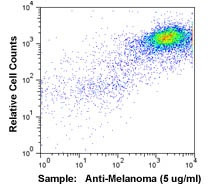 Melanoma/NG2 Antibody in Flow Cytometry (Flow)