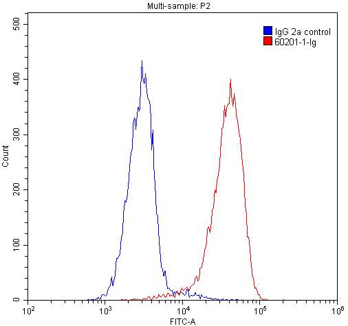 UBC9 Antibody in Flow Cytometry (Flow)