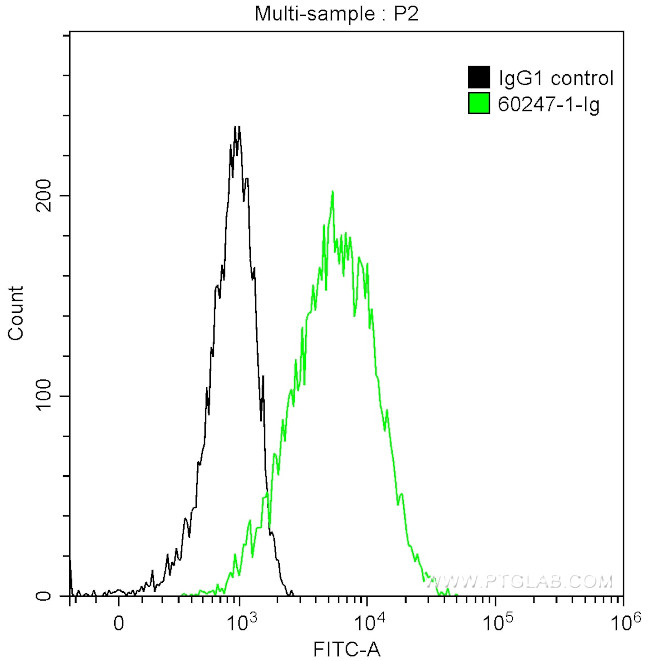 Cytokeratin 15 Antibody in Flow Cytometry (Flow)