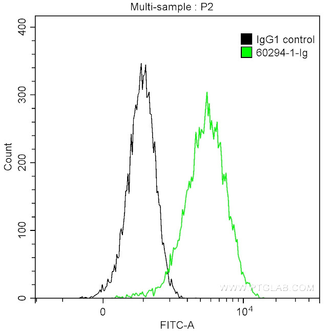 PLAP Antibody in Flow Cytometry (Flow)