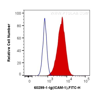 ICAM-1 Antibody in Flow Cytometry (Flow)