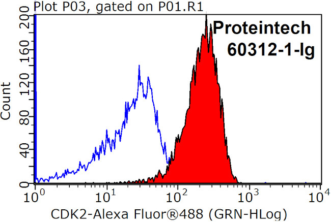 CDK2 Antibody in Flow Cytometry (Flow)