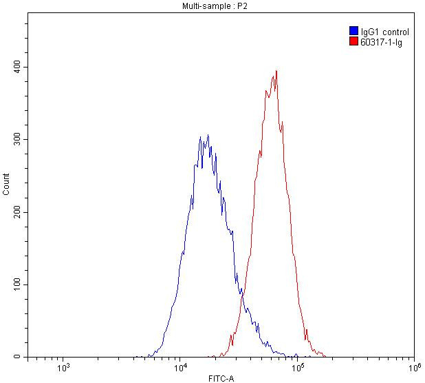 GOT1 Antibody in Flow Cytometry (Flow)