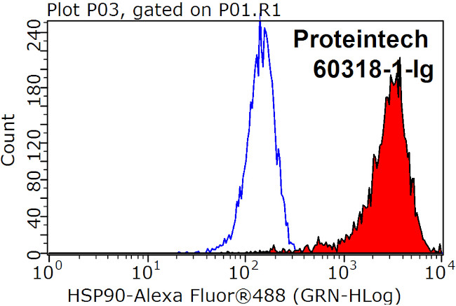 HSP90 Antibody in Flow Cytometry (Flow)