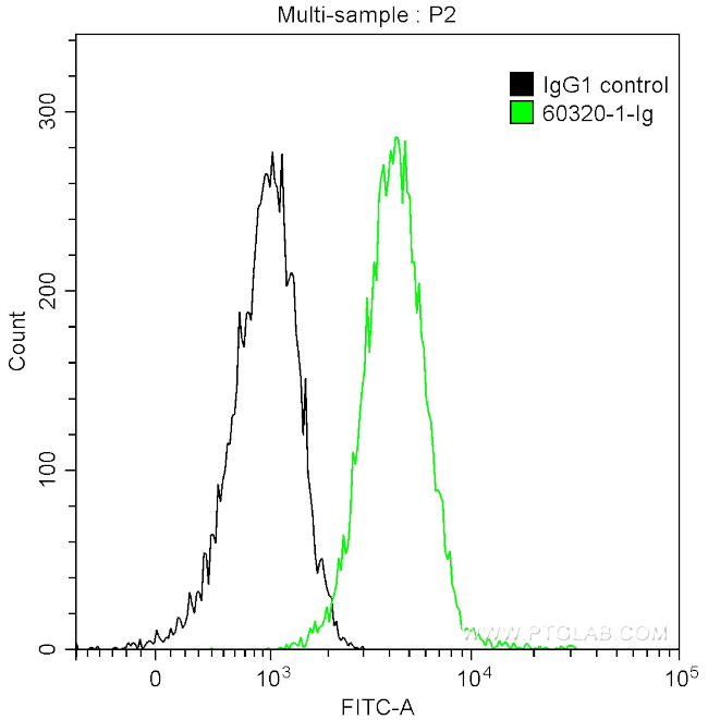 Cytokeratin 14 Antibody in Flow Cytometry (Flow)