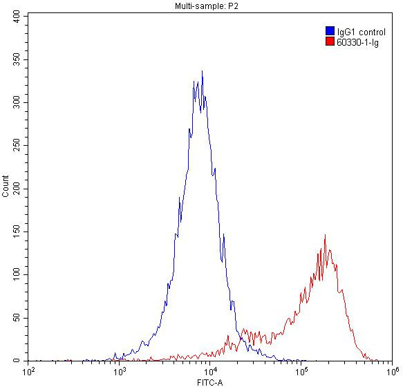 Vimentin Antibody in Flow Cytometry (Flow)