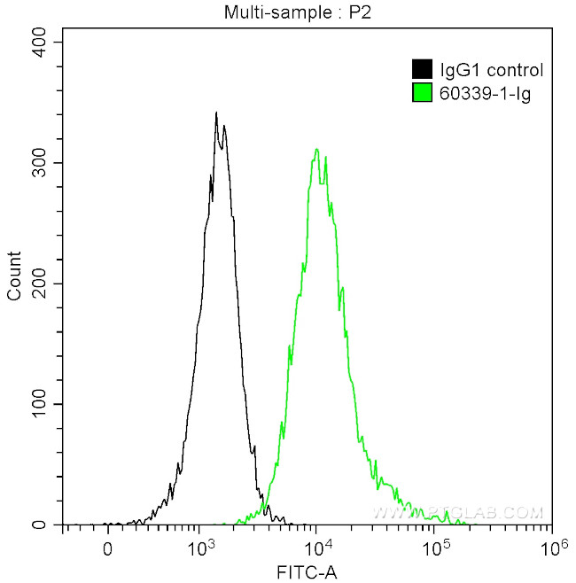 CX3CL1 Antibody in Flow Cytometry (Flow)