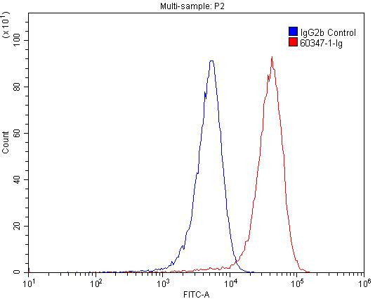 CD3 gamma Antibody in Flow Cytometry (Flow)