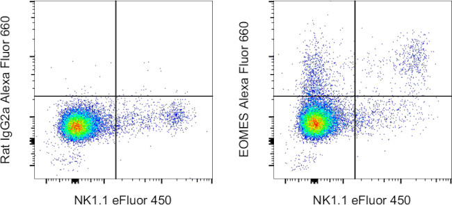 EOMES Antibody in Flow Cytometry (Flow)