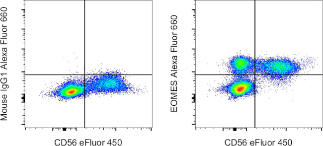 EOMES Antibody in Flow Cytometry (Flow)