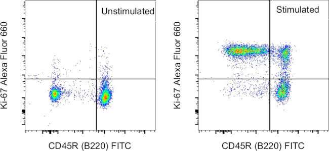 Ki-67 Antibody in Flow Cytometry (Flow)