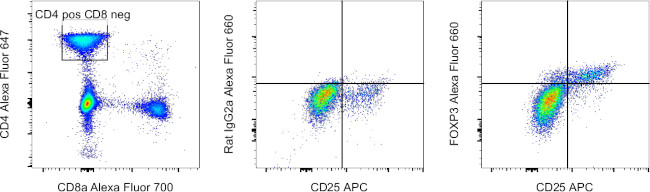 FOXP3 Antibody in Flow Cytometry (Flow)