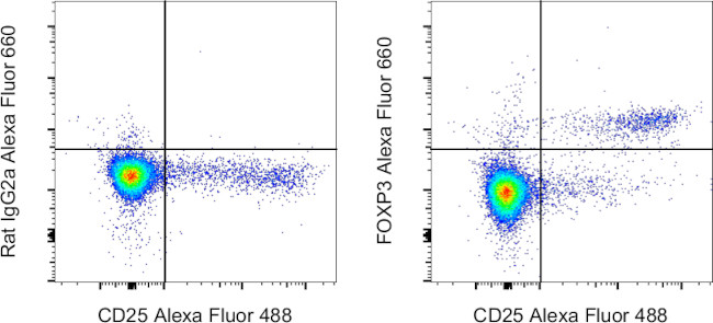 FOXP3 Antibody in Flow Cytometry (Flow)