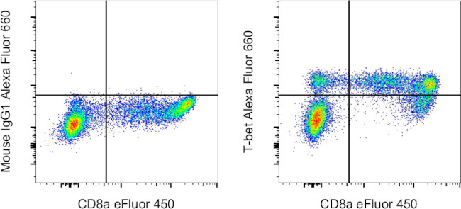 T-bet Antibody in Flow Cytometry (Flow)