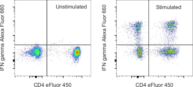 IFN gamma Antibody in Flow Cytometry (Flow)