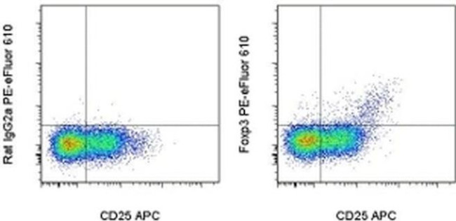 FOXP3 Antibody in Flow Cytometry (Flow)