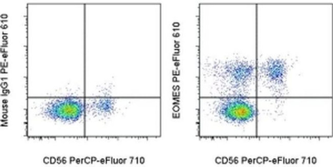 EOMES Antibody in Flow Cytometry (Flow)