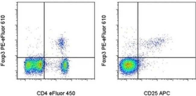 FOXP3 Antibody in Flow Cytometry (Flow)