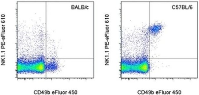 NK1.1 Antibody in Flow Cytometry (Flow)