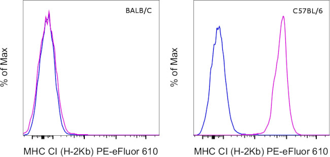 MHC Class I (H-2kb) Antibody in Flow Cytometry (Flow)