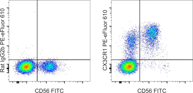 CX3CR1 Antibody in Flow Cytometry (Flow)