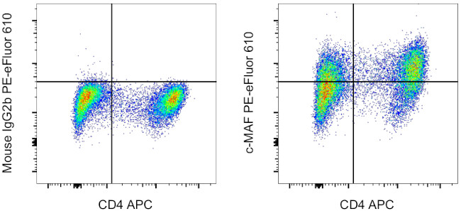 c-MAF Antibody in Flow Cytometry (Flow)