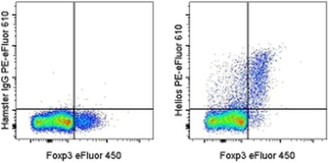 HELIOS Antibody in Flow Cytometry (Flow)