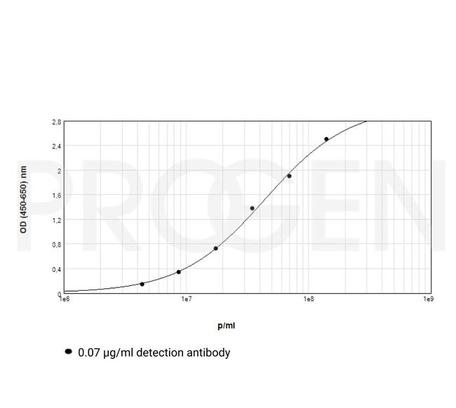 M13/fd/F1 Antibody in ELISA (ELISA)