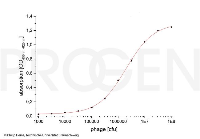 M13/fd/F1 Antibody in ELISA (ELISA)